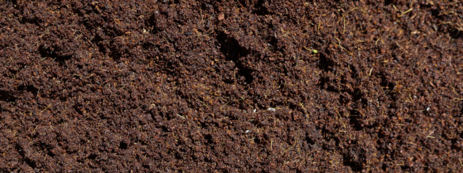 Cow dung powder organic manure for healthy crops