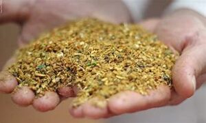 Bone meal organic fertilizer for soil nutrition and plant growth